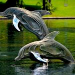 Erfahre mehr über das Schwimmen mit Delfinen in Holland