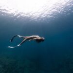 Usa Reise mit Delfin-Schwimmenmöglichkeit