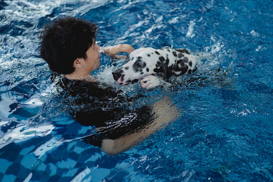 Hundeschwimmen
