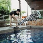 Hundeschwimmen - Orte und Vorschläge